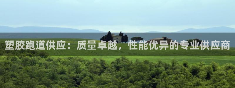 谈球吧是黑台子吗还是白台子：塑胶跑道供应：质量卓越，