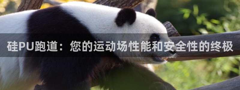 谈球吧是黑台子吗知乎小说：硅PU跑道：您的运动场性能