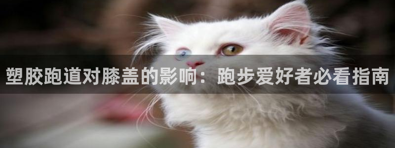 谈球吧官网app：塑胶跑道对膝盖的影响：跑步爱好者必
