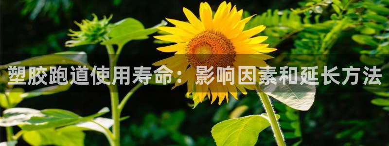 谈球吧的聊天软件：塑胶跑道使用寿命：影响因素和延长方法