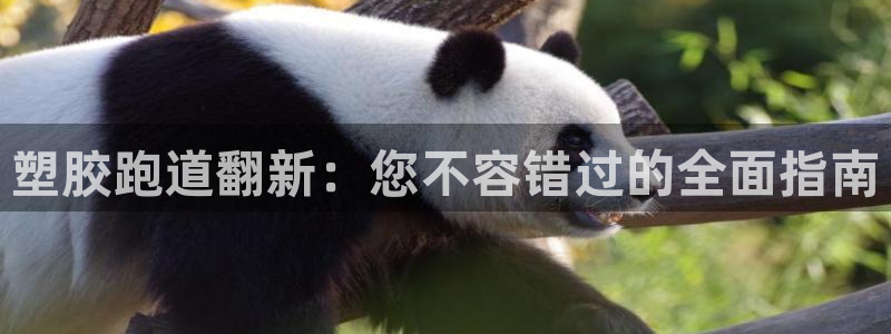 谈球吧平台正规吗可信吗：塑胶跑道翻新：您不容错过的全