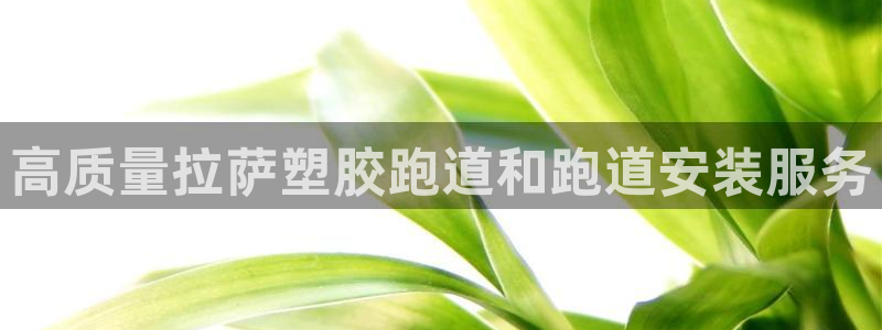 谈球吧体育综合台：高质量拉萨塑胶跑道和跑道安装服务