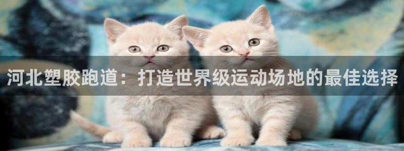 谈球吧官网在线入口免费观看视频：河北塑胶跑道：打造世界级运动场地的最佳选择