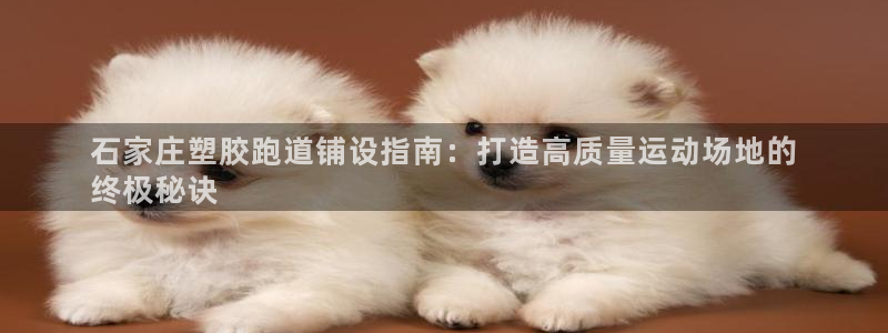 谈球吧下载地址：石家庄塑胶跑道铺设指南：打造高质量运