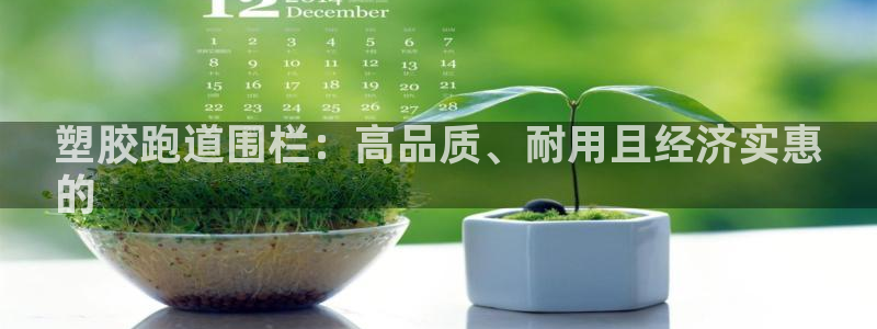 谈球吧体育app下载官网苹果版：塑胶跑道围栏：高品质