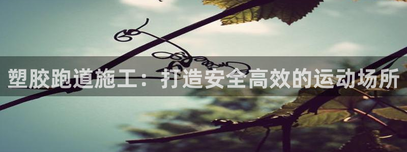 谈球吧体育赛事入口：塑胶跑道施工：打造安全高效的运动