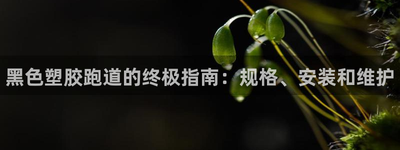 谈球吧网址：黑色塑胶跑道的终极指南：规格、安装和维护