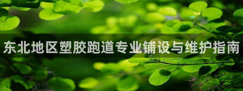 谈球吧体育：东北地区塑胶跑道专业铺设与维护指南