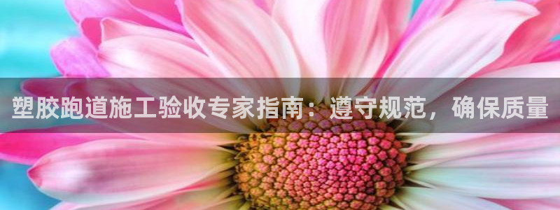 谈球吧平台app下载网址：塑胶跑道施工验收专家指南：遵守规范，确保质量