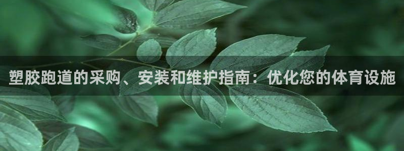 谈球吧与普通平台对比：塑胶跑道的采购、安装和维护指南：优化您的体育设施