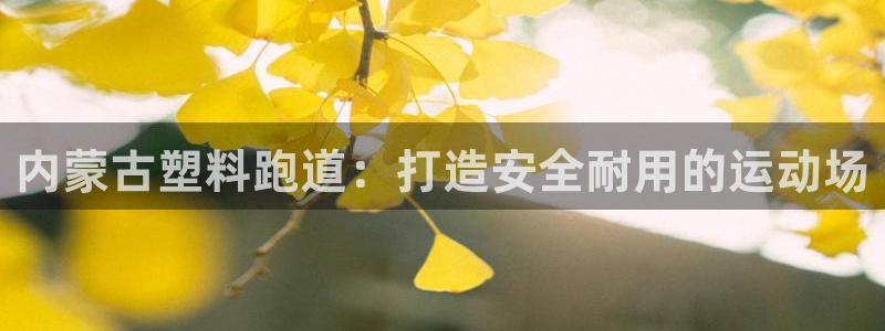 谈球吧体育app下载官网苹果：内蒙古塑料跑道：打造安全耐用的运动场