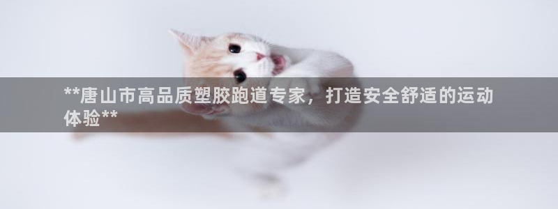 谈球吧下载地址：**唐山市高品质塑胶跑道专家，打造安全舒适的运动
体验**