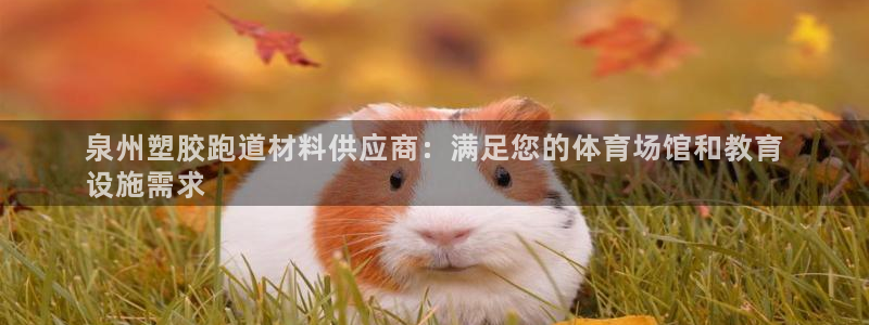 谈球吧体育官网在线入口免费观看：泉州塑胶跑道材料供应商：满足您的体育场馆和教育
设施需求