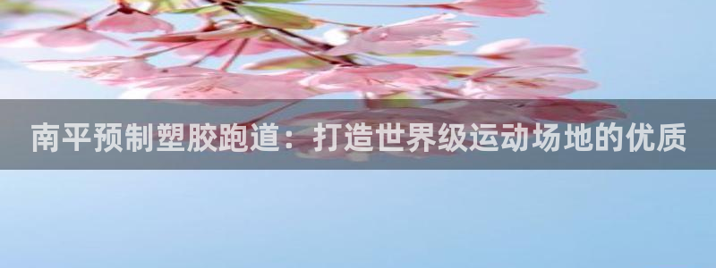 谈球吧官网app下载：南平预制塑胶跑道：打造世界级运