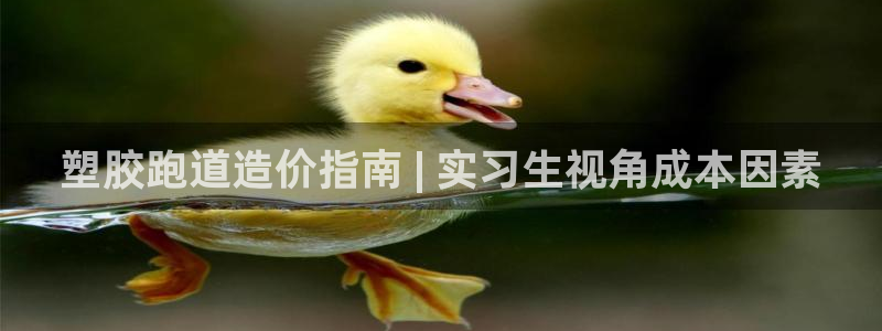 谈球吧电子app：塑胶跑道造价指南 | 实习生视角成
