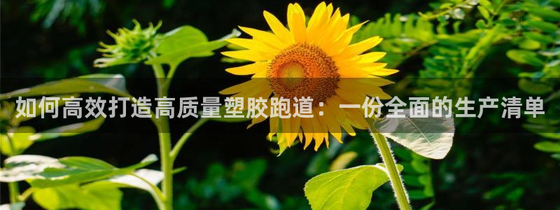 谈球吧平台正规吗：如何高效打造高质量塑胶跑道：一份全面的生产清单