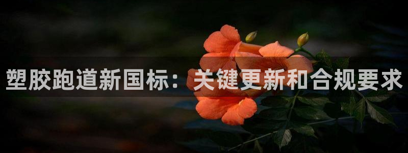 谈球吧是黑台子吗知乎全文：塑胶跑道新国标：关键更新和