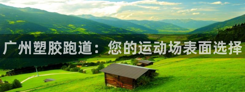 谈球吧官网在线入口手机版下载安装：广州塑胶跑道：您的运动场表面选择