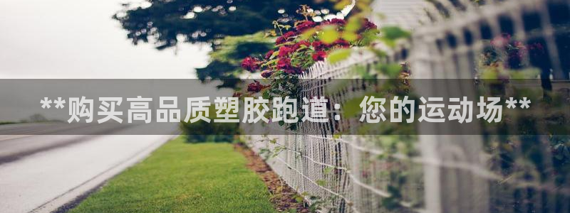 谈球吧黑款：**购买高品质塑胶跑道：您的运动场**