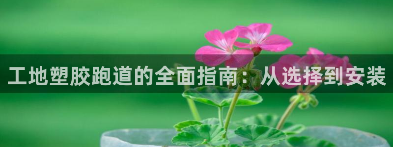 谈球吧app体育下载：工地塑胶跑道的全面指南：从选择