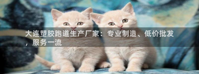 谈球吧属于哪个旗下的品牌：大连塑胶跑道生产厂家：专业制造、低价批发
，服务一流
