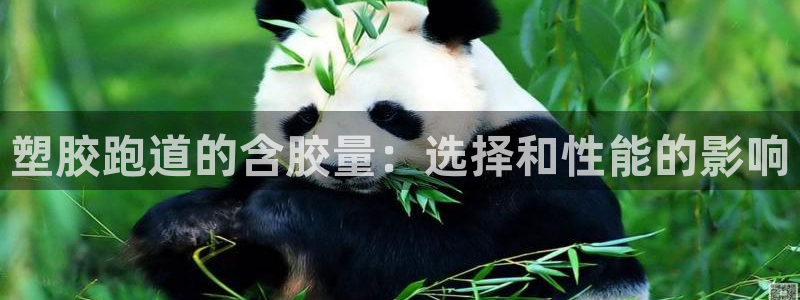 谈球吧平台黑吗?：塑胶跑道的含胶量：选择和性能的影响