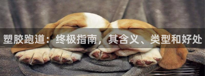 谈球吧体育app登陆不上：塑胶跑道：终极指南，其含义