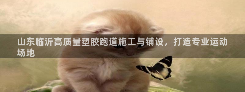 谈球吧言网入口：山东临沂高质量塑胶跑道施工与铺设，打造专业运动
场地