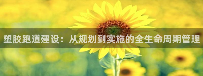 谈球吧平台正规吗