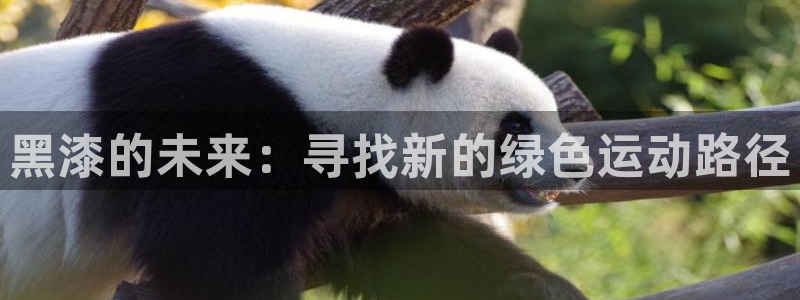 谈球吧靠谱吗