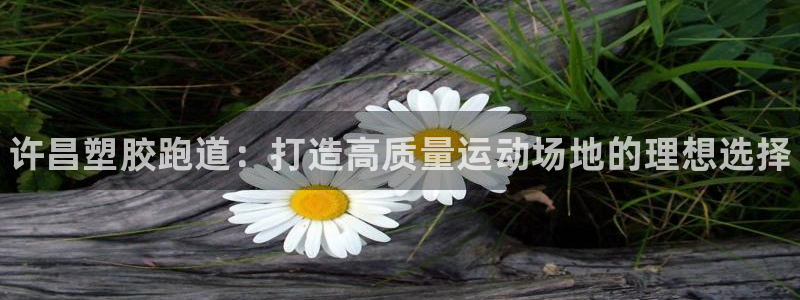 谈球吧体育app官网下载：许昌塑胶跑道：打造高质量运