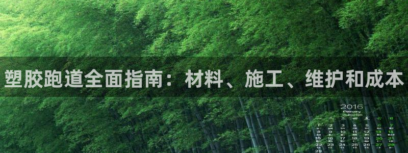 谈球吧app在哪里下载：塑胶跑道全面指南：材料、施工