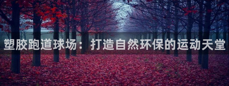 谈球吧体育app下载中心官网苹果