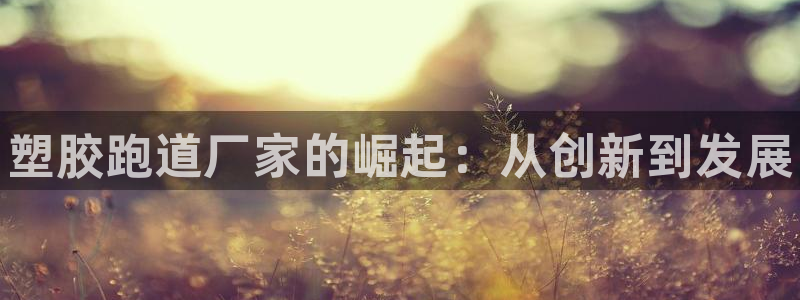 谈球吧在线登录免费观看：塑胶跑道厂家的崛起：从创新到