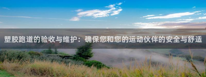 谈球吧app官网：塑胶跑道的验收与维护：确保您和您的运动伙伴