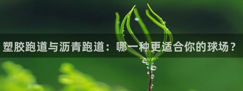 谈球吧的聊天软件有哪些：塑胶跑道与沥青跑道：哪一种更