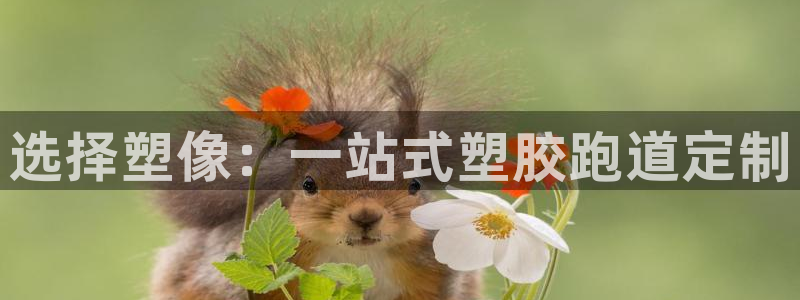 谈球吧网站：选择塑像：一站式塑胶跑道定制