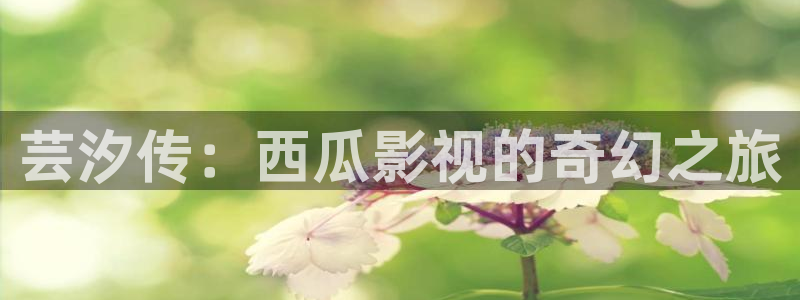 迅播电影：芸汐传：西瓜影视的奇幻之旅