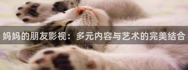 迅播影院在线看