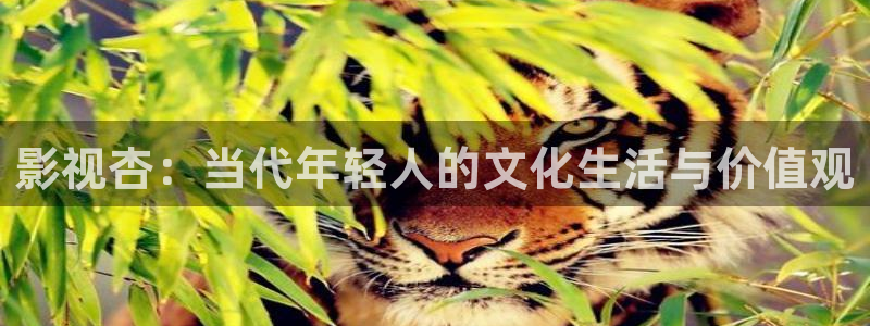 迅播影院电视剧免费观看