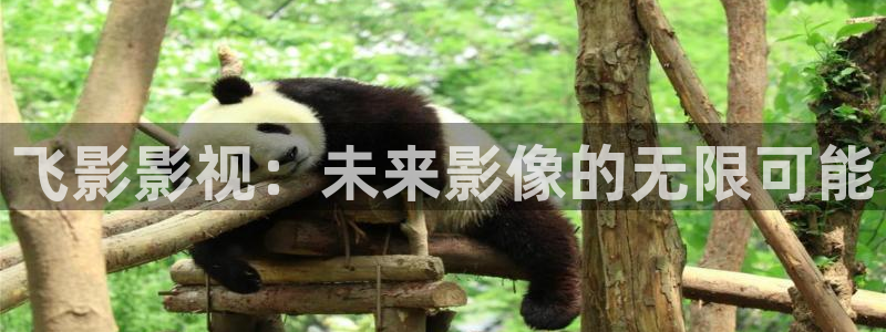 迅播影院官网