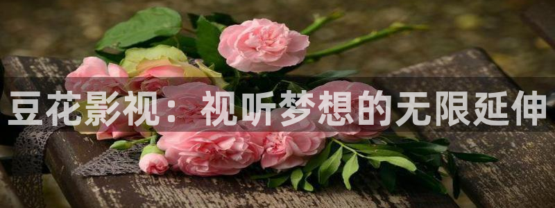 迅播影院电视剧