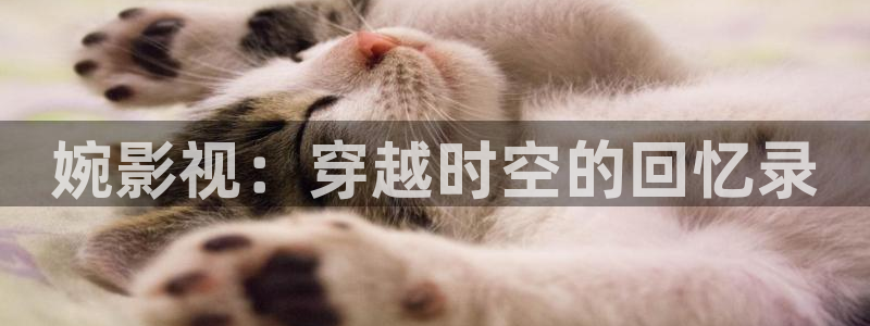 迅播影院迅播成人理论片：婉影视：穿越时空的回忆录