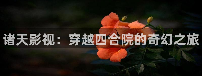 迅播影院官网首页：诸天影视：穿越四合院的奇幻之旅