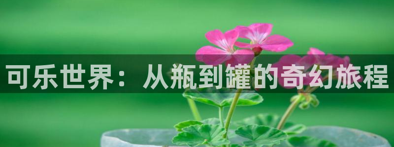 迅播影院在线观看：可乐世界：从瓶到罐的奇幻旅程