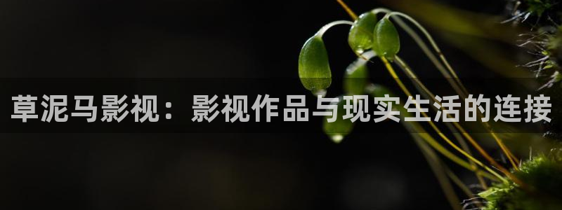 天狼星行动迅播影院免费观看