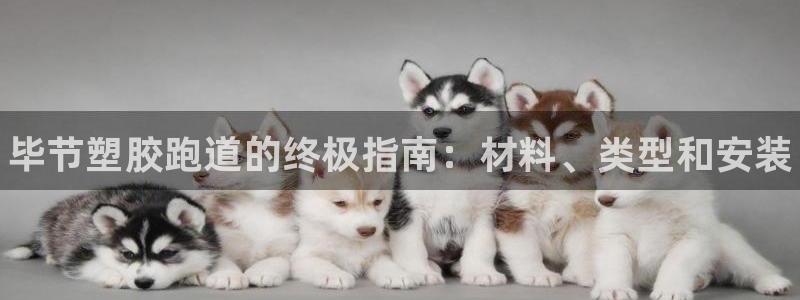 谈球吧算违法行为吗知乎：毕节塑胶跑道的终极指南：材料、类型和