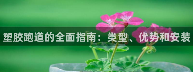 谈球吧app靠谱吗：塑胶跑道的全面指南：类型、优势和安装