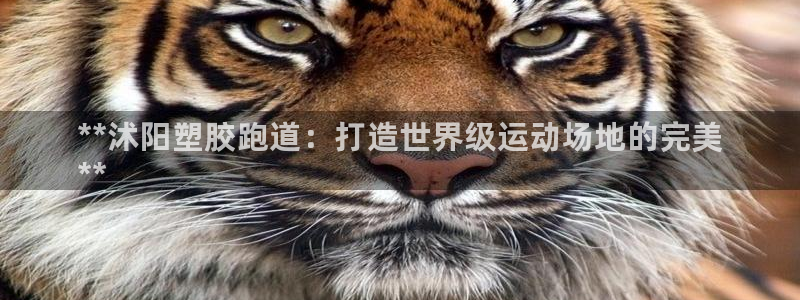 谈球吧app下载ios：**沭阳塑胶跑道：打造世界级运动场地