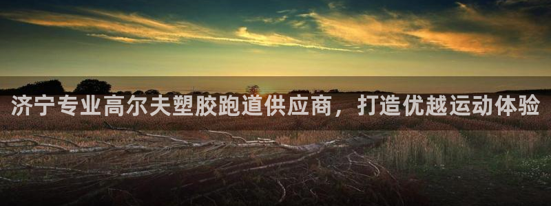 谈球吧体育app官网下载安装：济宁专业高尔夫塑胶跑道供应商，